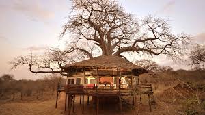 Tarangire Treetops